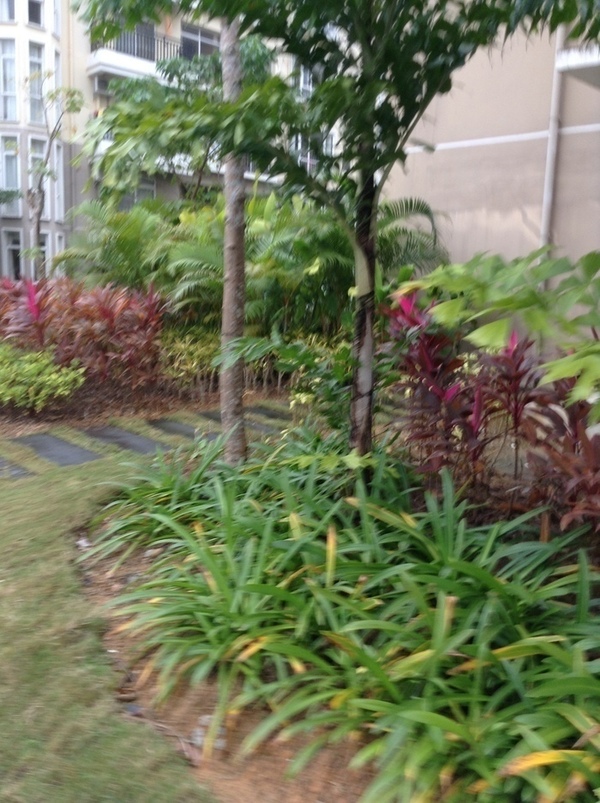 ̨�����ķ羰ͼƬ1 860.jpg