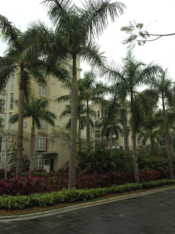 ̨�����ķ羰ͼƬ1 861.jpg