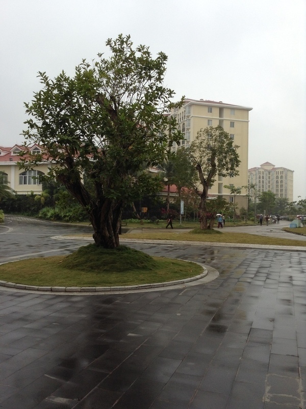 ̨�����ķ羰ͼƬ1 862.jpg