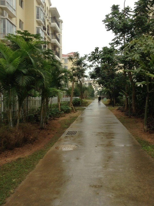 ̨�����ķ羰ͼƬ1 864.jpg