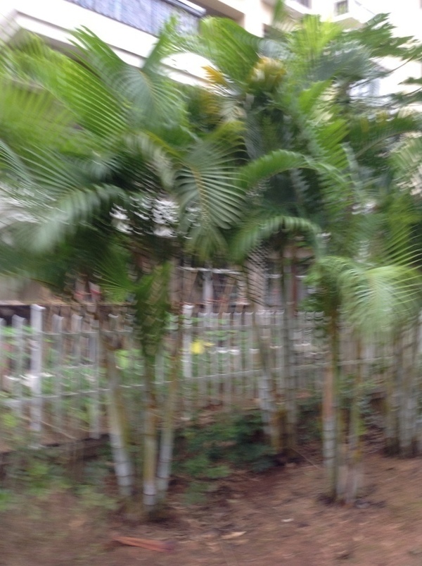 ̨�����ķ羰ͼƬ1 865.jpg