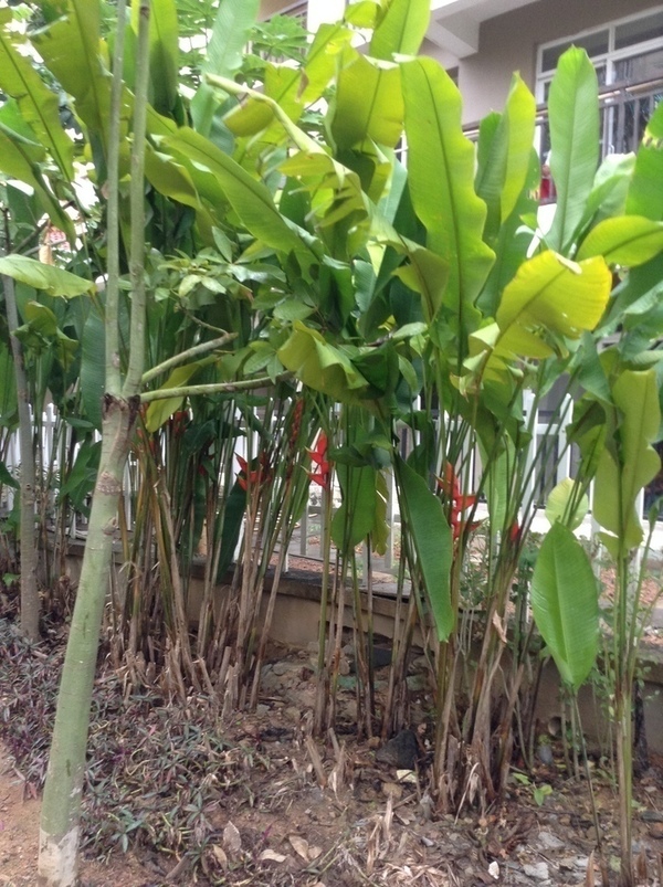 ̨�����ķ羰ͼƬ1 866.jpg