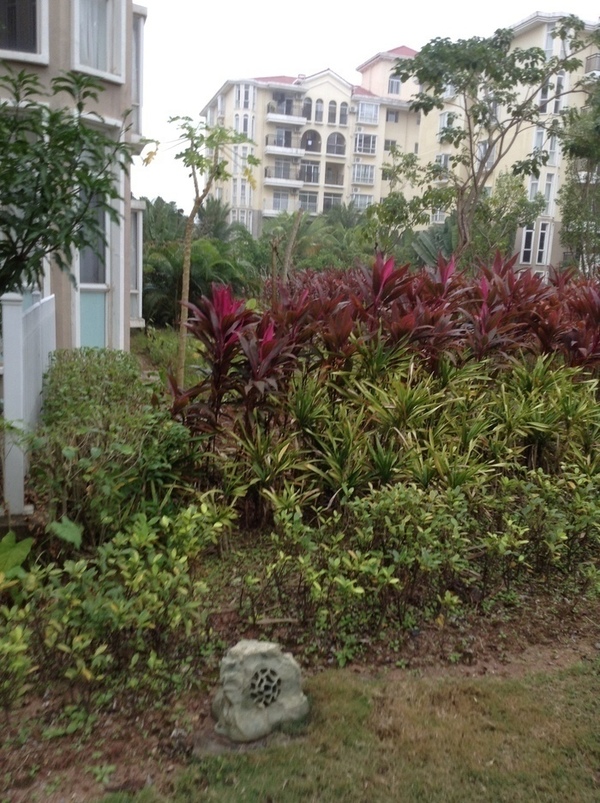 ̨�����ķ羰ͼƬ1 869.jpg