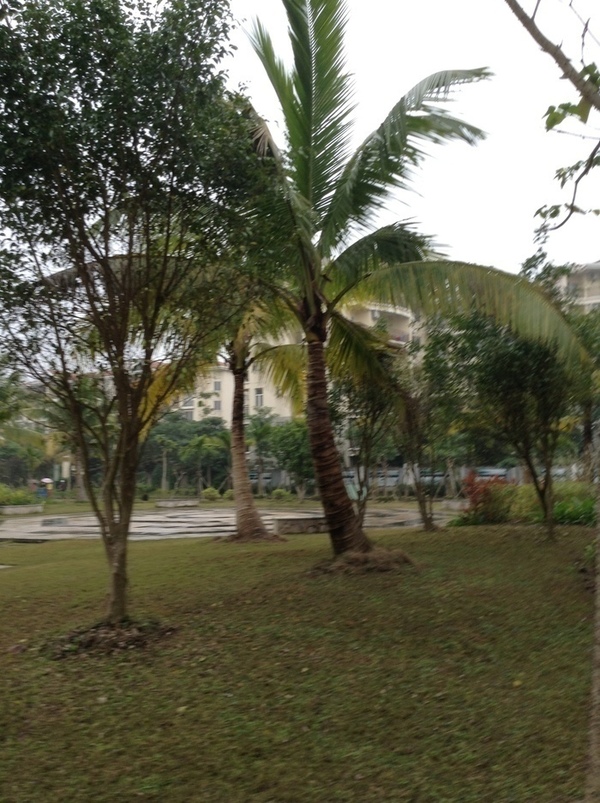 ̨�����ķ羰ͼƬ1 871.jpg