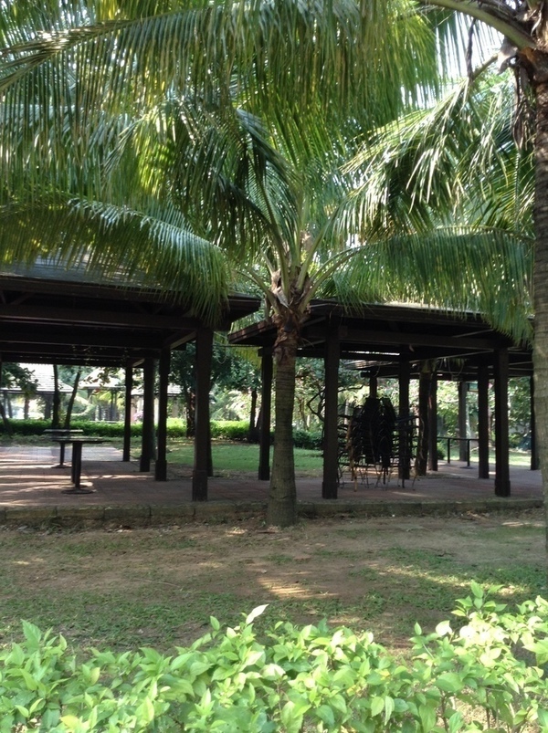 ̨�����ķ羰ͼƬ1 737.jpg