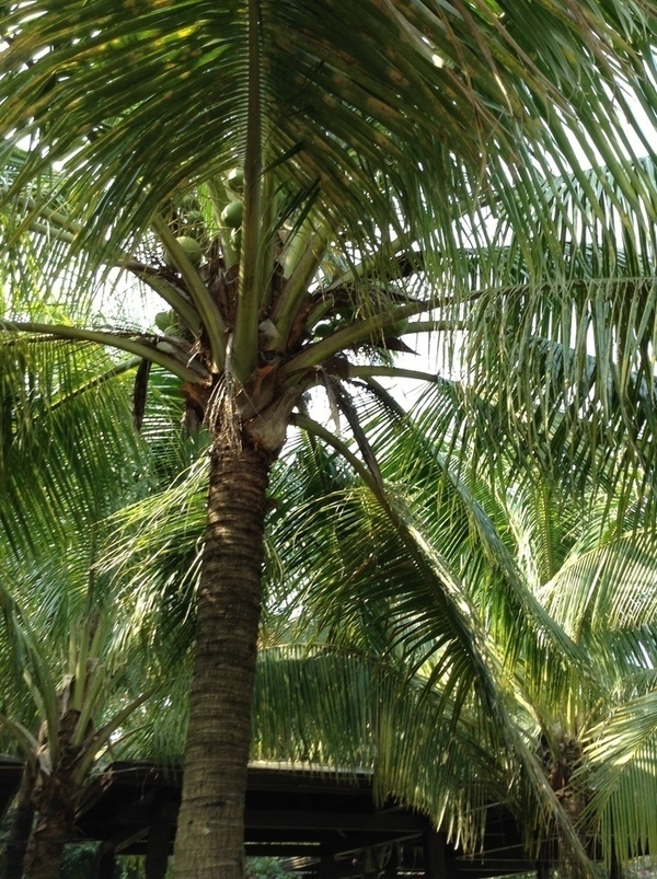 ̨�����ķ羰ͼƬ1 738.jpg