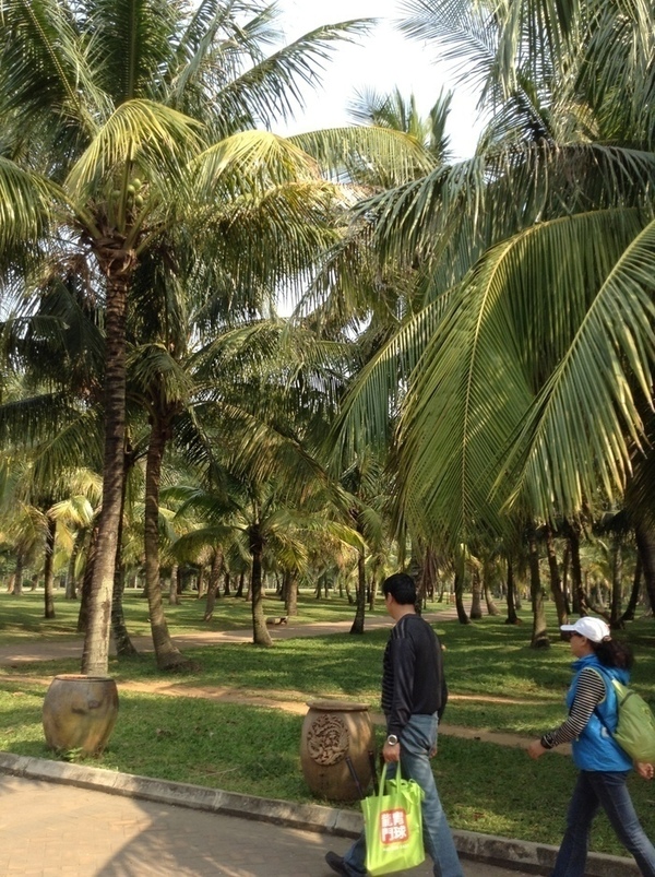 ̨�����ķ羰ͼƬ1 739.jpg