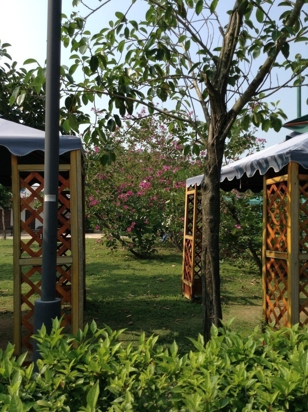 ̨�����ķ羰ͼƬ1 745.jpg