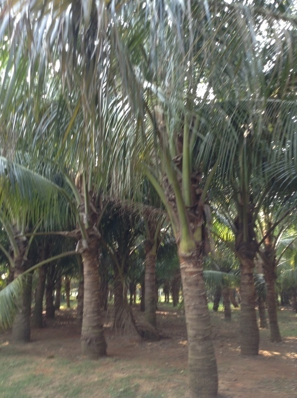 ̨�����ķ羰ͼƬ1 797.jpg