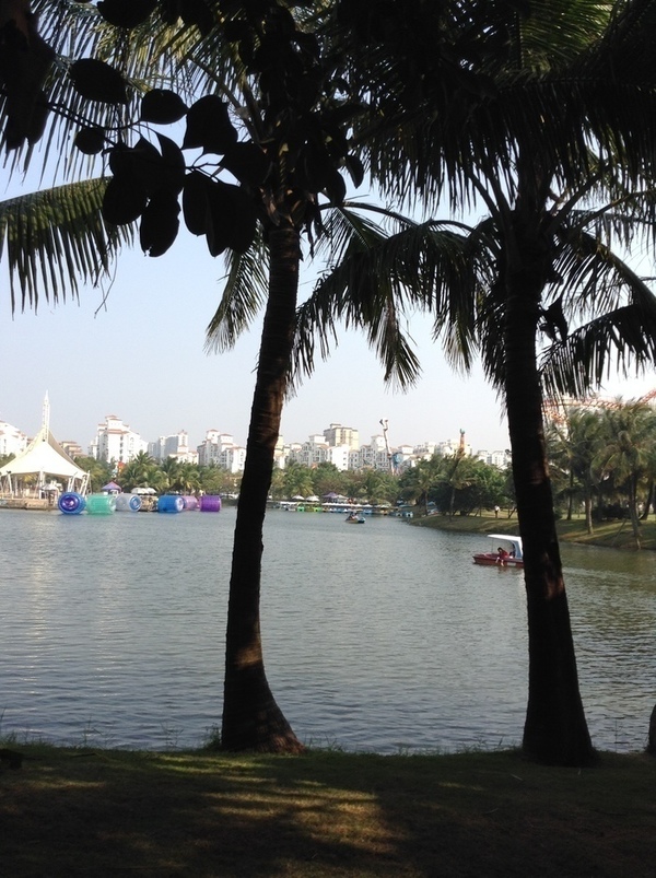 ̨�����ķ羰ͼƬ1 798.jpg