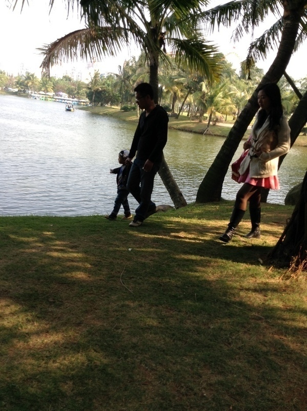 ̨�����ķ羰ͼƬ1 799.jpg