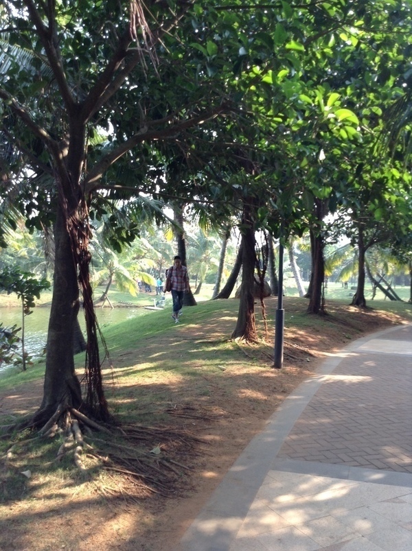 ̨�����ķ羰ͼƬ1 800.jpg