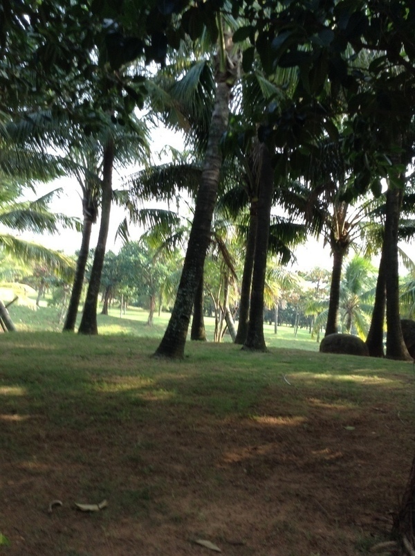 ̨�����ķ羰ͼƬ1 801.jpg