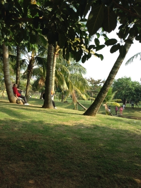 ̨�����ķ羰ͼƬ1 802.jpg