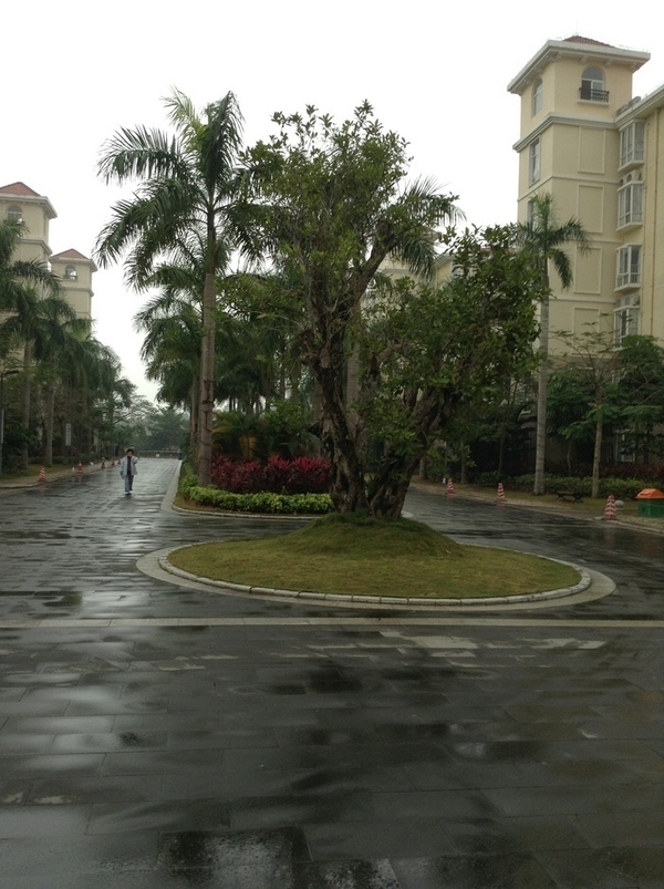 ̨�����ķ羰ͼƬ1 851.jpg