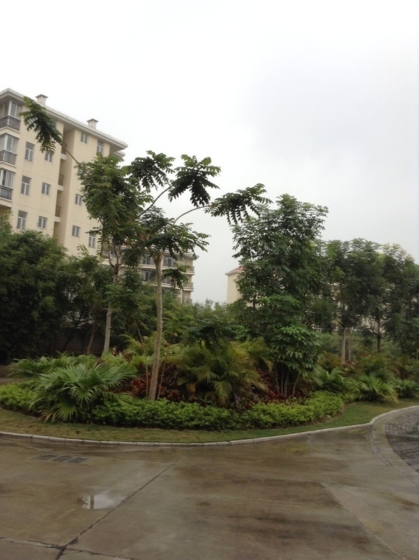 ̨�����ķ羰ͼƬ1 856.jpg