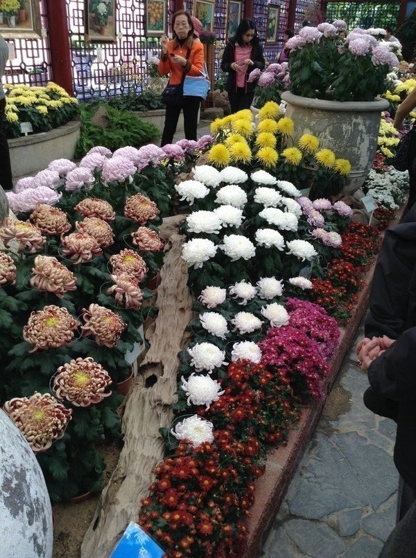 ̨�����ķ羰ͼƬ1 016.jpg