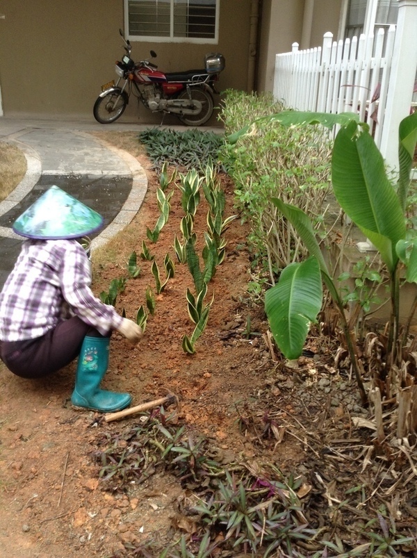 ̨�����ķ羰ͼƬ1 867.jpg