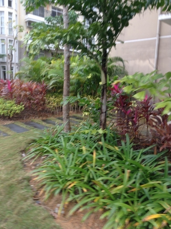 ̨�����ķ羰ͼƬ1 860.jpg