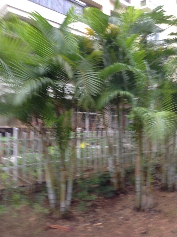 ̨�����ķ羰ͼƬ1 865.jpg