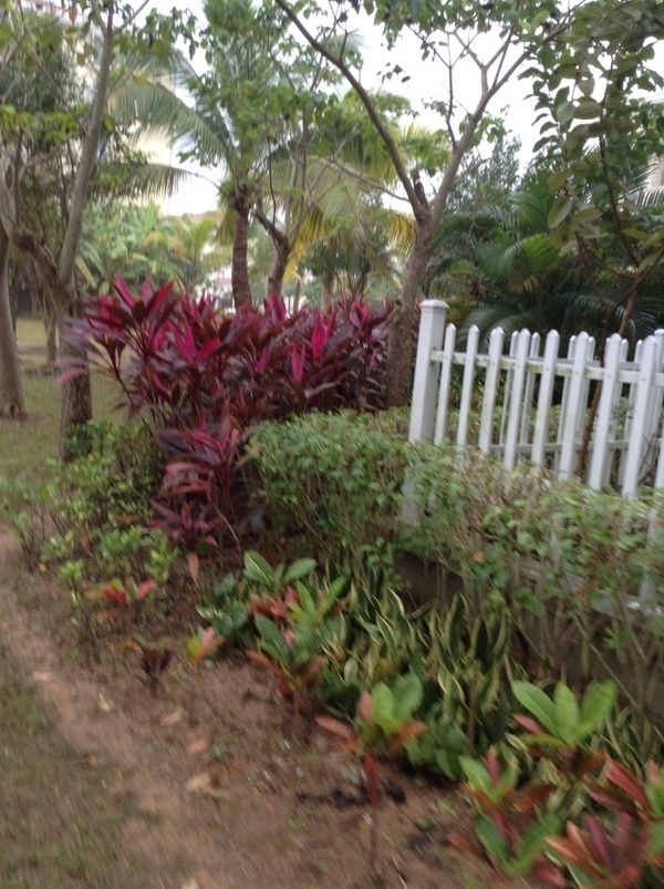 ̨�����ķ羰ͼƬ1 868.jpg