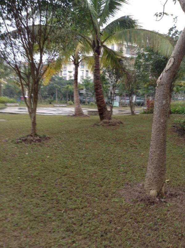 ̨�����ķ羰ͼƬ1 870.jpg