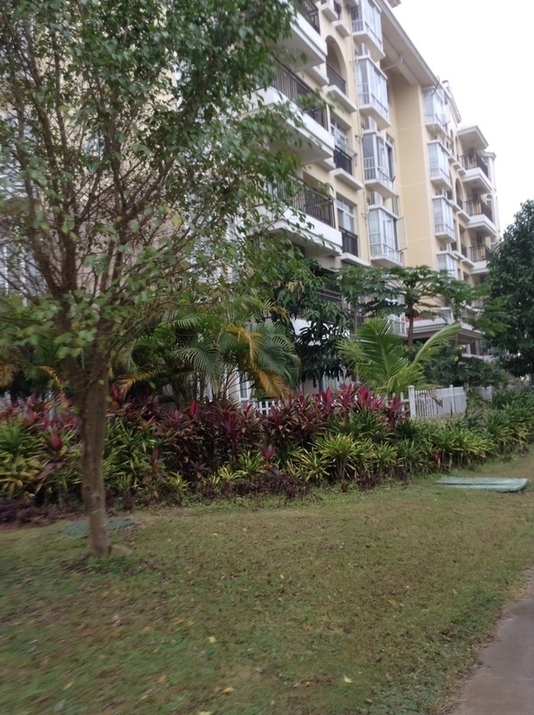 ̨�����ķ羰ͼƬ1 873.jpg