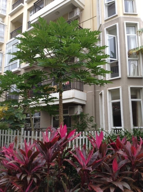 ̨�����ķ羰ͼƬ1 874.jpg