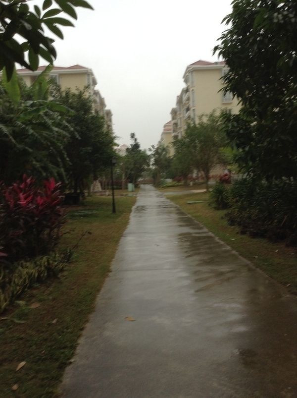 ̨�����ķ羰ͼƬ1 875.jpg