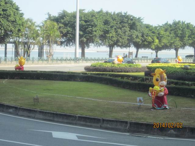 ������С IMG_2137.JPG