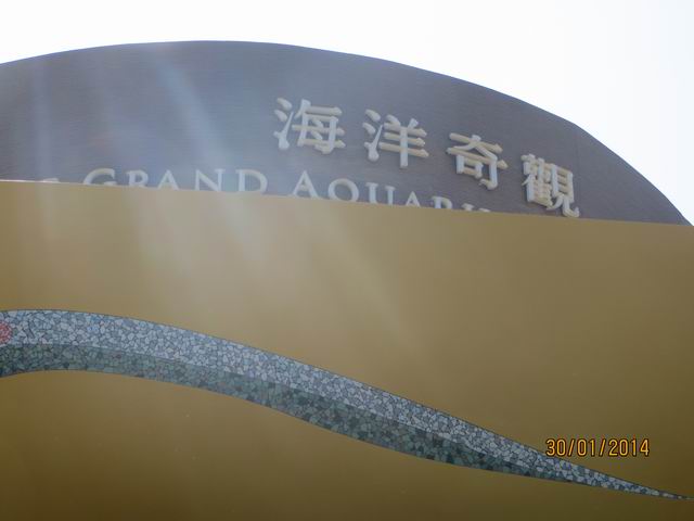 ������С IMG_4461.JPG