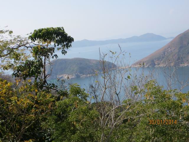 ������С IMG_4472.JPG