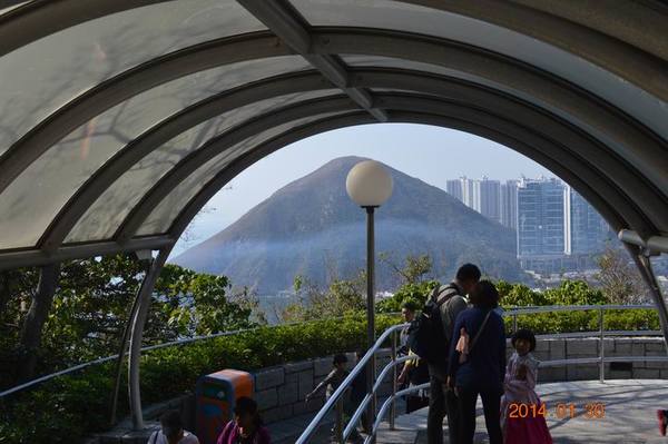 ������С DSC_1120.JPG