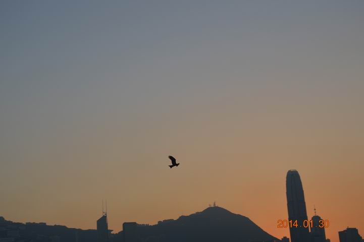 ������С DSC_1235.JPG