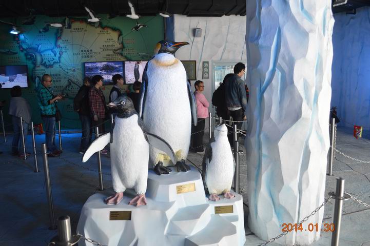 ������С DSC_1098.JPG