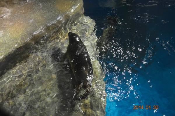 ������С DSC_1112.JPG