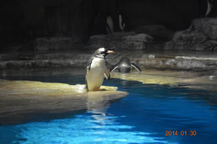 ������С DSC_1104.JPG