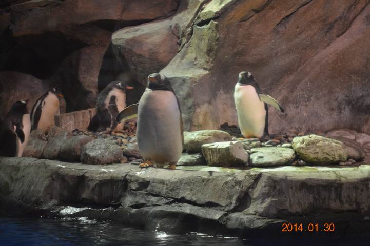 ������С DSC_1107.JPG