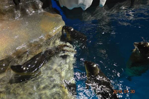 ������С DSC_1110.JPG