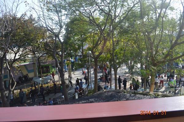 ������С DSC_1612.JPG