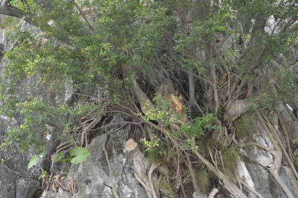 ������С DSC_2996.JPG