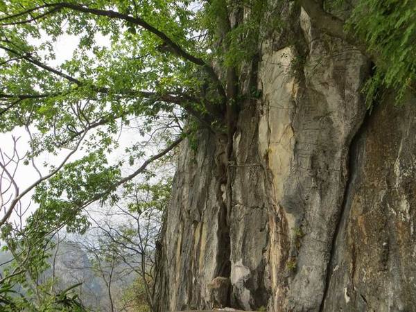 ������С IMG_5621.JPG