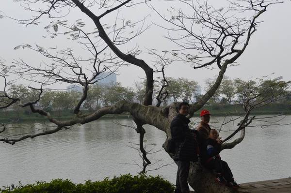 ������С DSC_3009.JPG