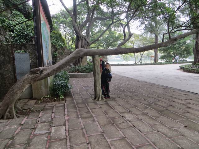 ������С IMG_5511.JPG