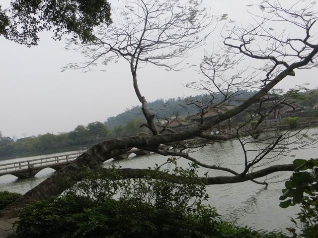 ������С IMG_5526.JPG