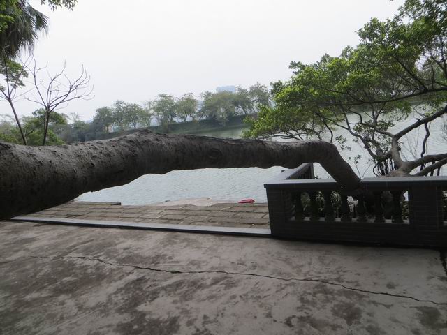 ������С IMG_5548.JPG