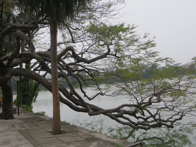 ������С IMG_5558.JPG