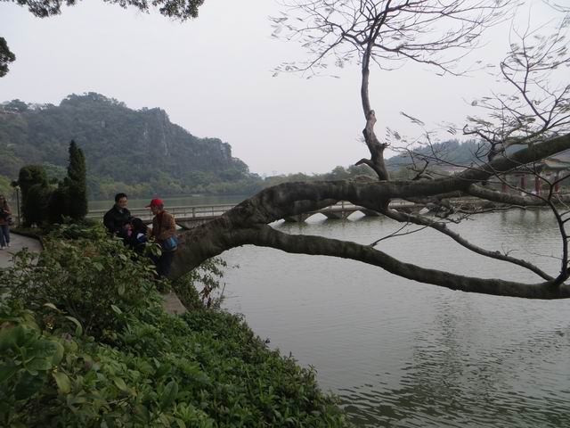 ������С IMG_5518.JPG