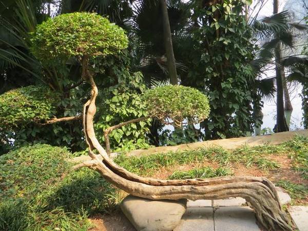 ������С IMG_5698.JPG