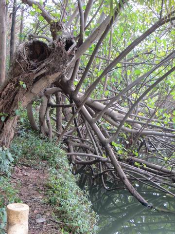 ������С ��ת IMG_5653.JPG